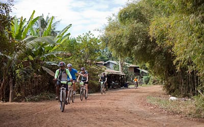 Angkor Region & Rainforest