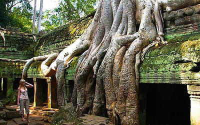 Siem Reap Angkor 4 Days Tour