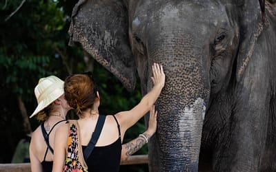 Awesome Phnom Penh & Siem Reap 9 Days Tour