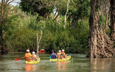 2-Day Kratie Mekong Adventure
