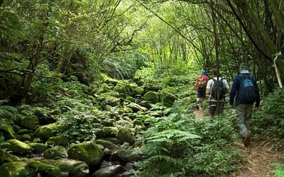 Sihanoukville Remote Jungle Trekking Full day