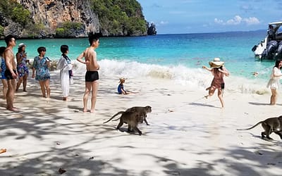 25 Days of Cambodia and Thailand